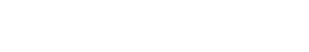 CourierTracking.in Logo (Light)